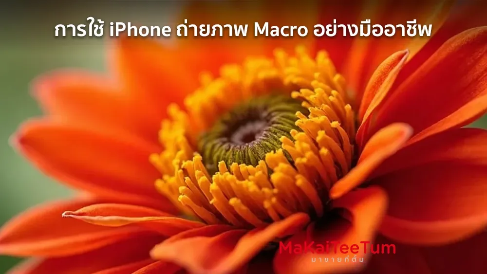 การใช้ iPhone ถ่ายภาพ Macro อย่างมืออาชีพ